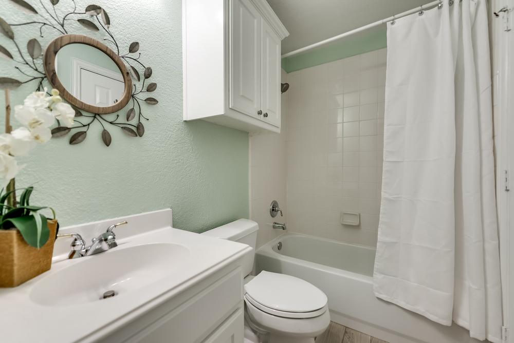    Full Bathroom has Bedroom and Hall Access 
