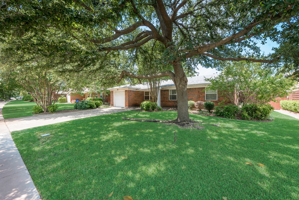    Walk up Adorned with Mature Trees and Landscaping 
