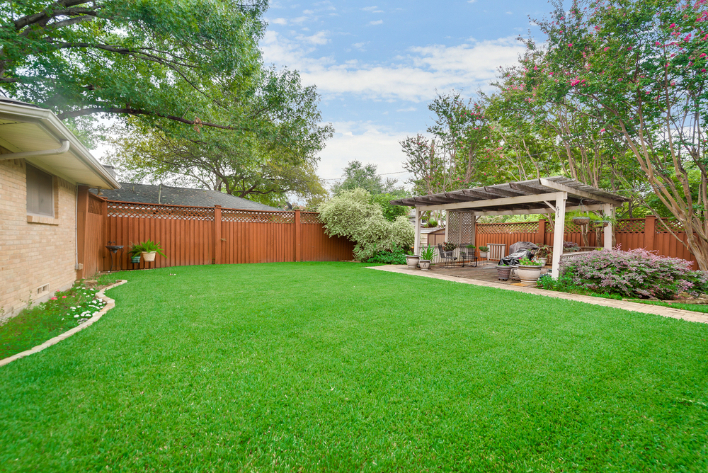    Barckyard Oasis 