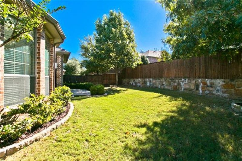    Grassy Yard 