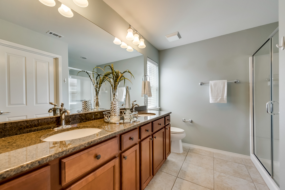   Master Bath has Granite Countertops and Large Shower 